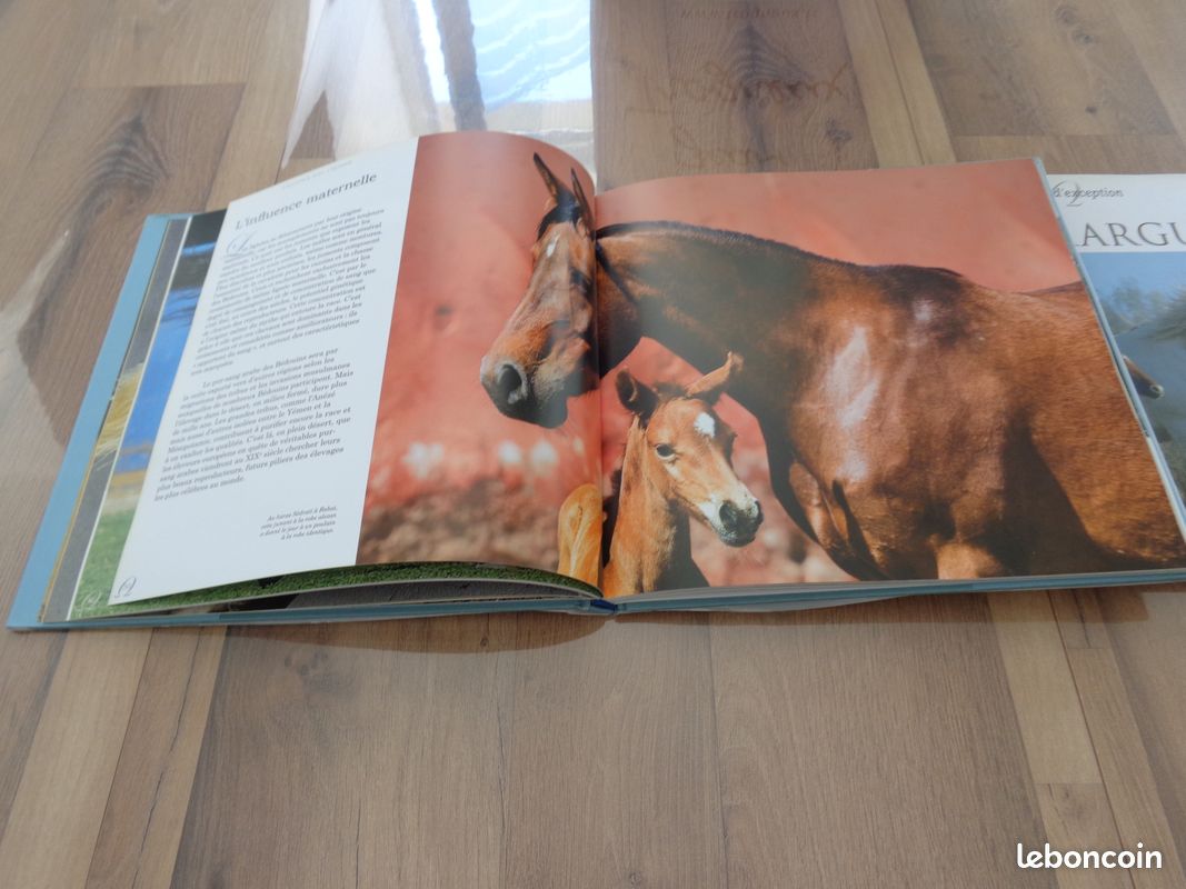 2 Livres : les chevaux d'exception (image 4)