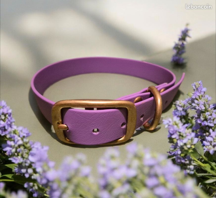Collier XXL en biothane (image 1)