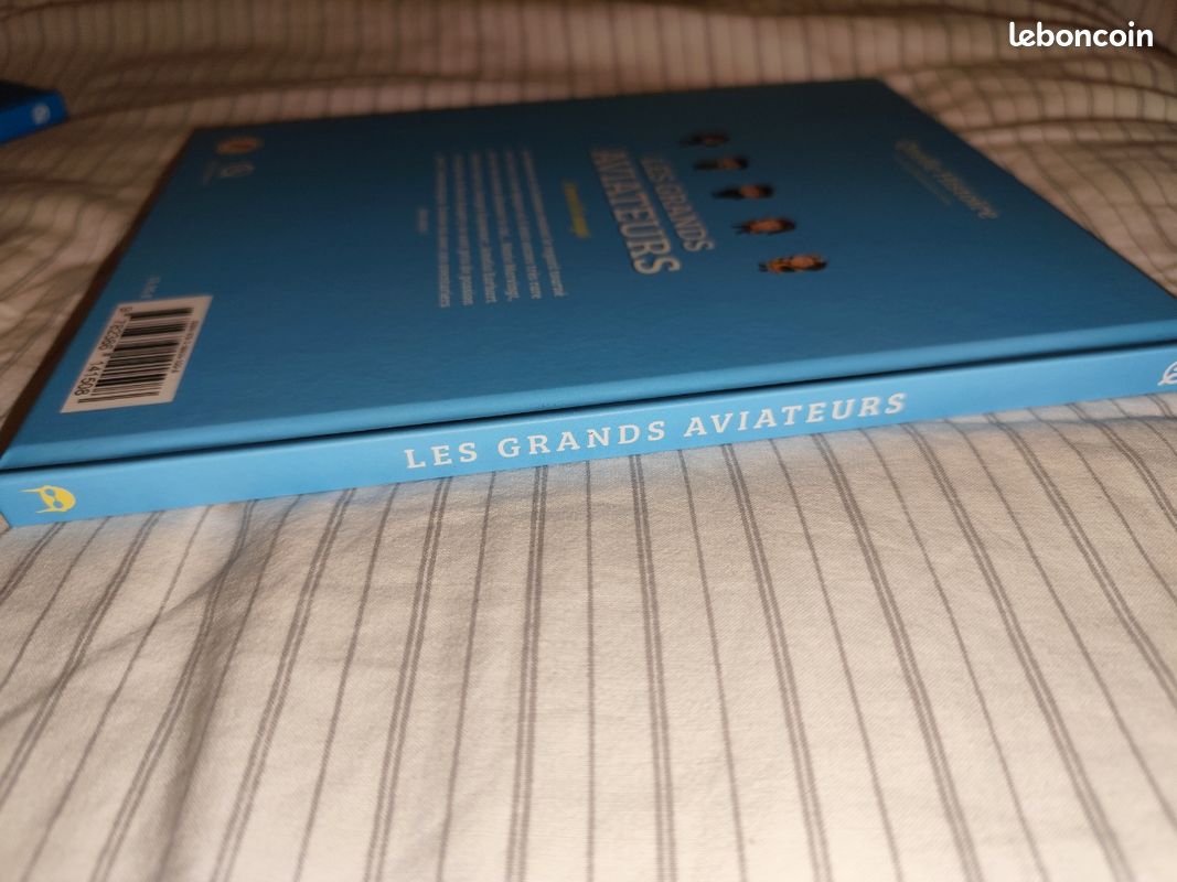 Quelle histoire les grands aviateurs à travers les nuages (image 3)