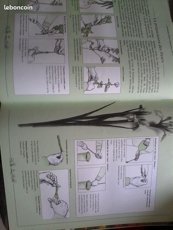 Livre de creation de bouquet de fleurs (image 4)