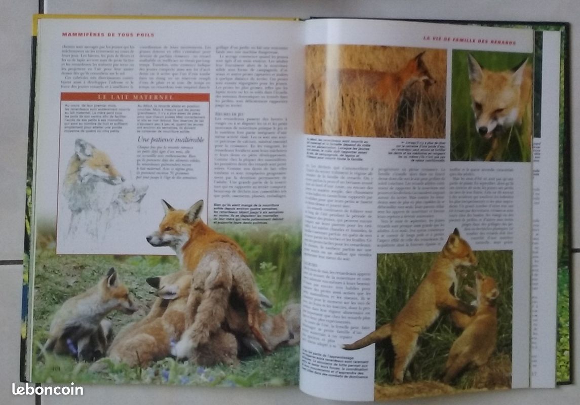 Beau Livre La Vie cachée des sous-bois (image 3)