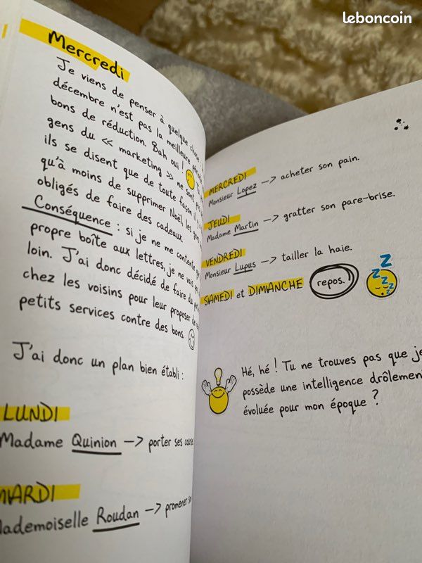 Livre ma vie en smiley (image 4)