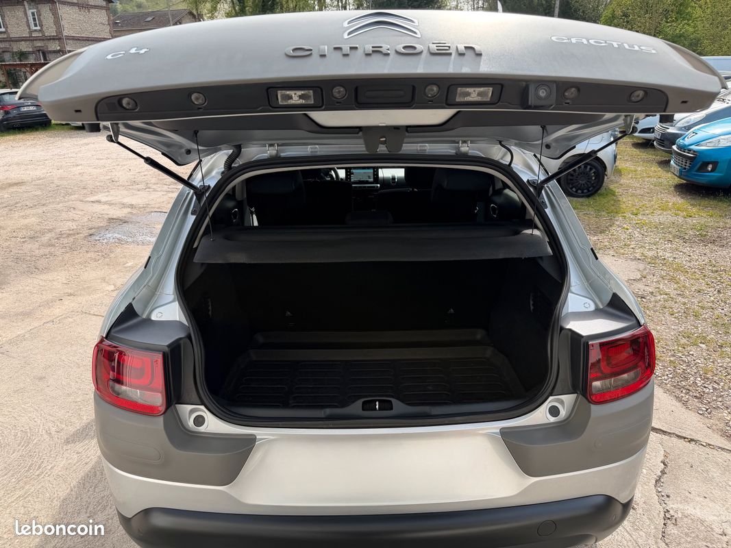 Citroen c4 cactus (image 5)