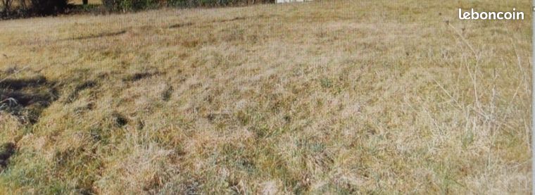 Terrain constructible
