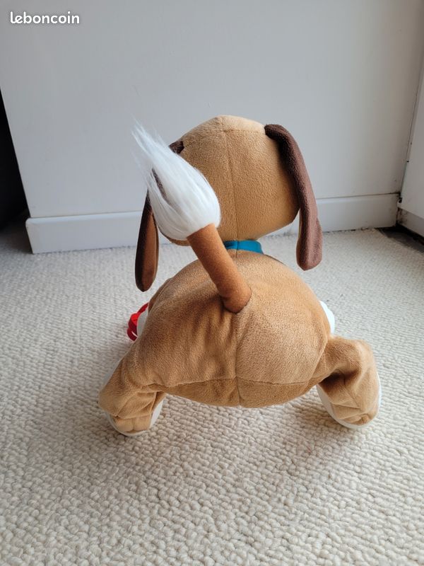 Superbe chien Toufou (image 3)