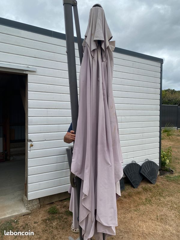 Parasol (image 5)