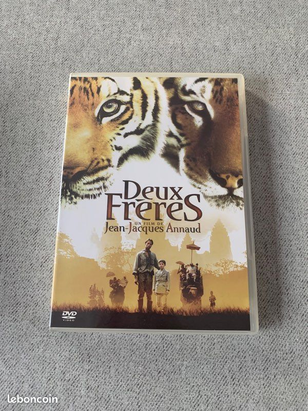 Dvd deux frères (image 1)