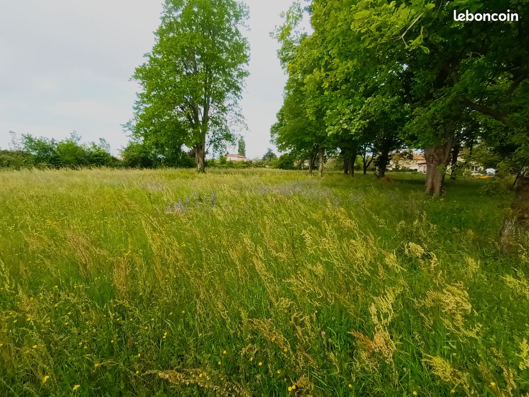 Terrain 620 m² · à Chonas-l'Amballan · 620 m² · 124 000 €