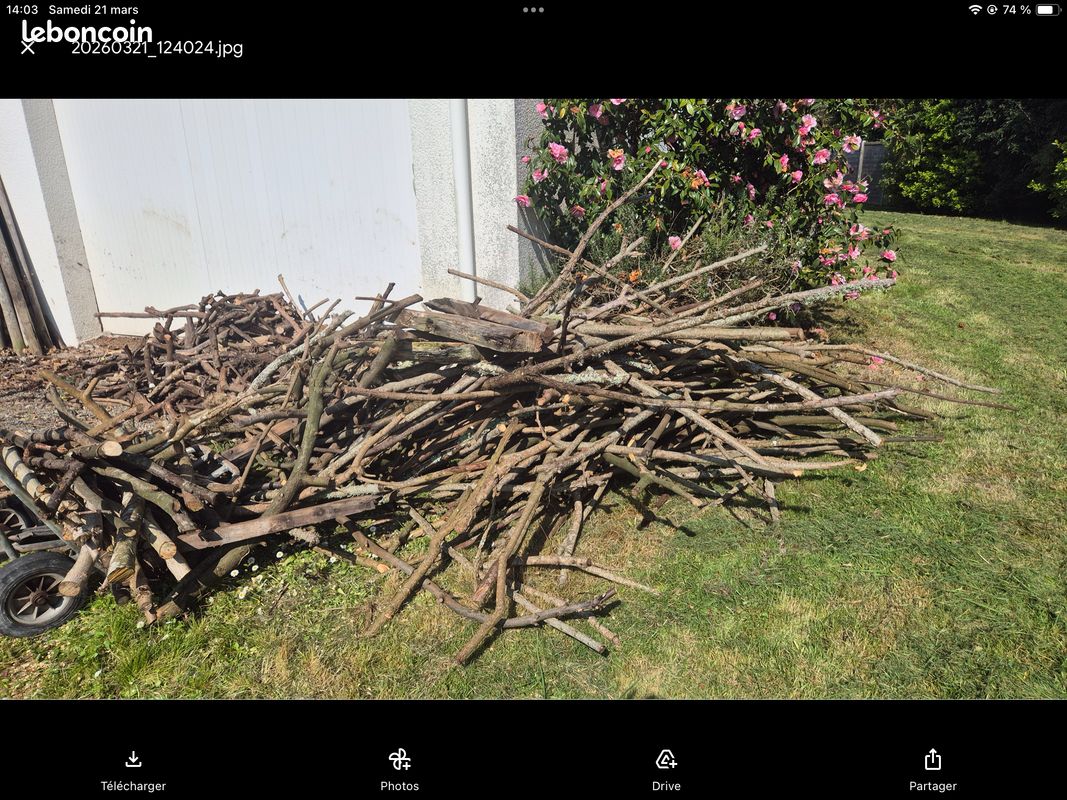 Bois (image 2)