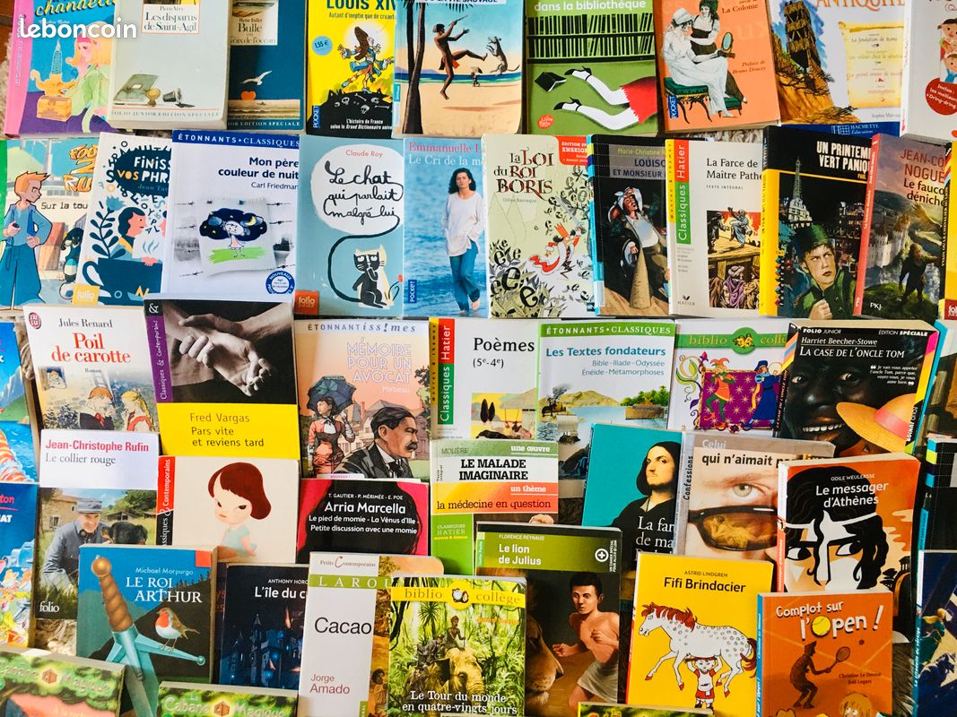 Lot de 60 romans livres pour collégiens (image 1)