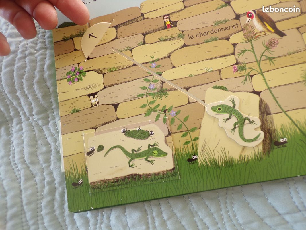 LIVRE AVEC VOLETS dans le jardin (image 10)