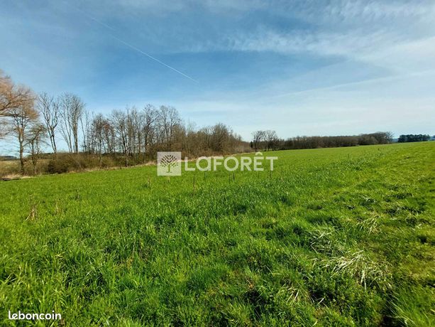 Ferme 6 pièces 145 m²