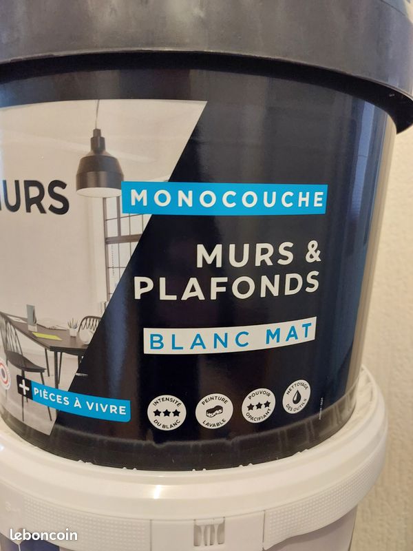 Peinture blanc mat murs & plafonds (image 3)