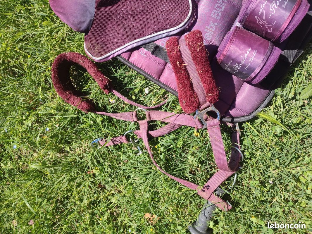 Magnifique ensemble violet cheval - Sport & Plein air