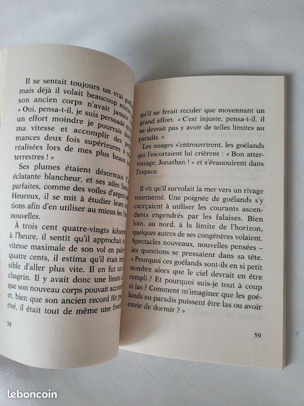Jonathan Livingston le goéland (image 4)