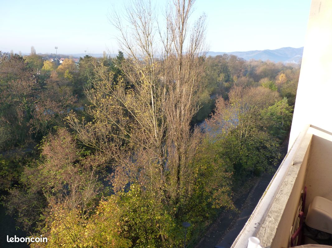 Appartement 1 pièce 26 m² · à Cernay · 26 m² · 460 €/mois