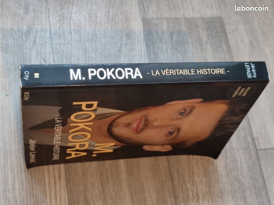 M. Pokora livre (image 2)