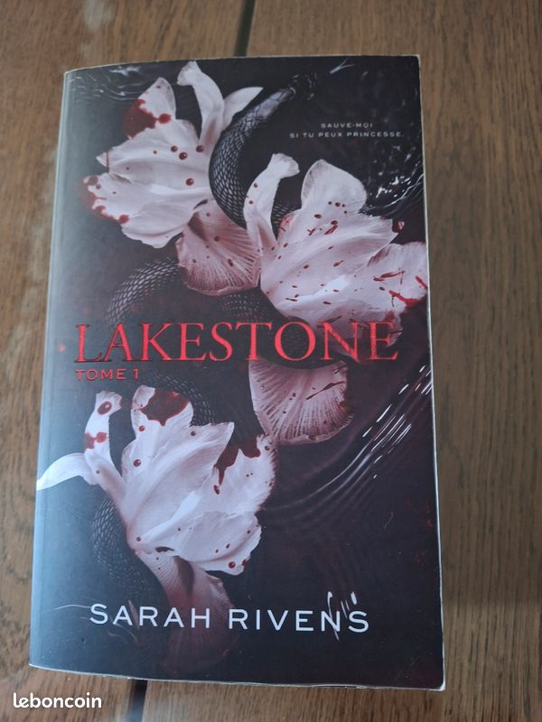 Livre Lakestone Tome 1 (image 1)