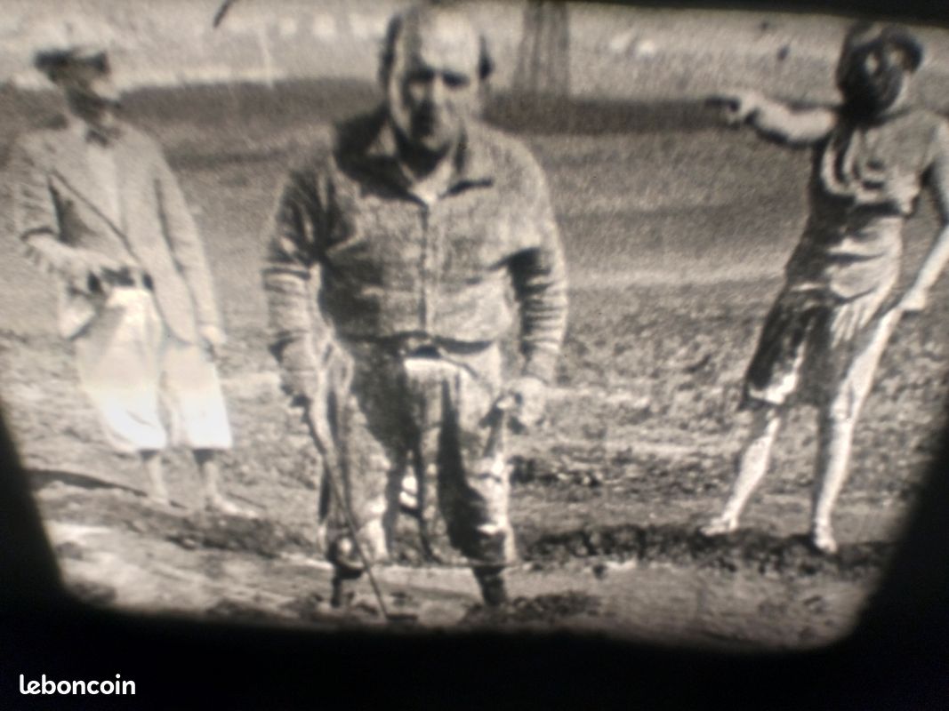 Une partie de golf (Laurel et Hardy - 1928) Super 8 (image 14)