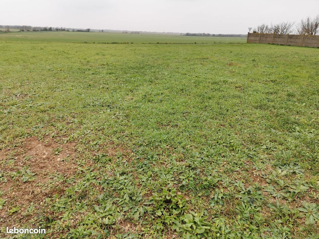 Terrain 374 m² · à Angliers · 374 m² · 85 900 €