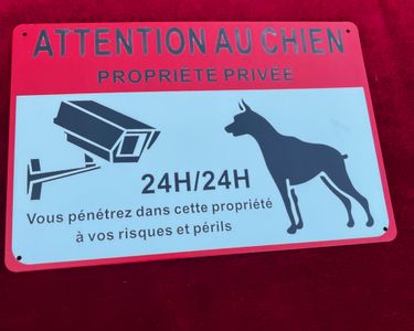 Panneau Attention Chien Et Caméra Propriété Privée - Plaque Métal Dissuasive 30x20cm
