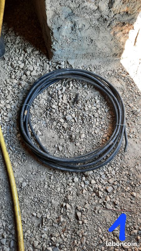 Cable électrique (Annie) (image 1)