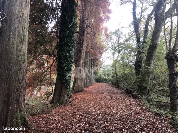 Propriété 5 pièces 250 m²