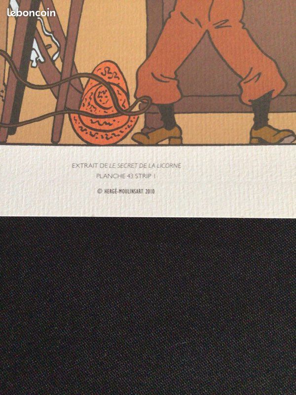 29 planches tintin collection (image 14)