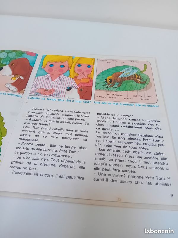 Petit Tom et son amie l’abeille – Casterman 1971 – vintage Alain Grée (image 7)