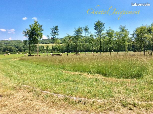 Terrain 1 671 m² Saint Jean De Cole