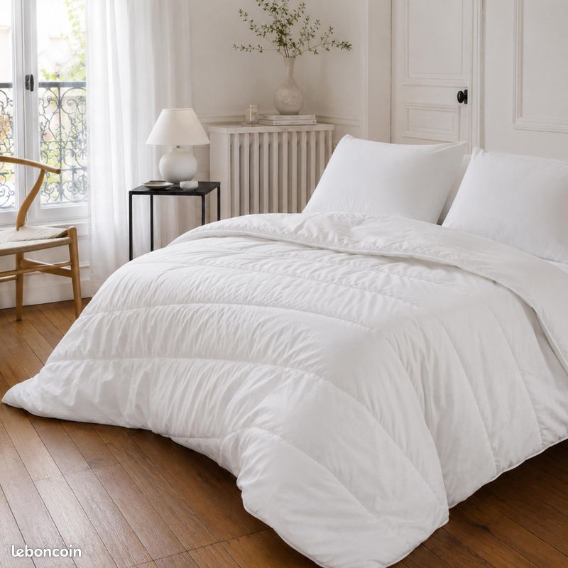 Couette 260 x 240 chaude propre TBE (image 1)