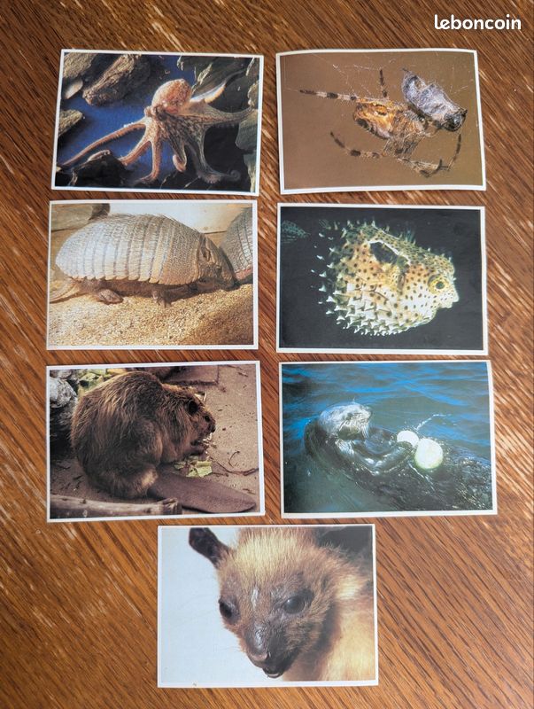 Lot images à collectionner Poulain série 40 animaux (image 1)