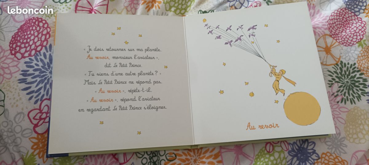 Le petit prince pour les bébés (image 3)