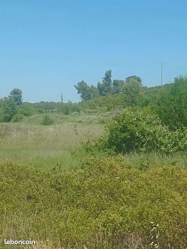 Vends terrain agricole et de loisirs à grabels · 13 500 €