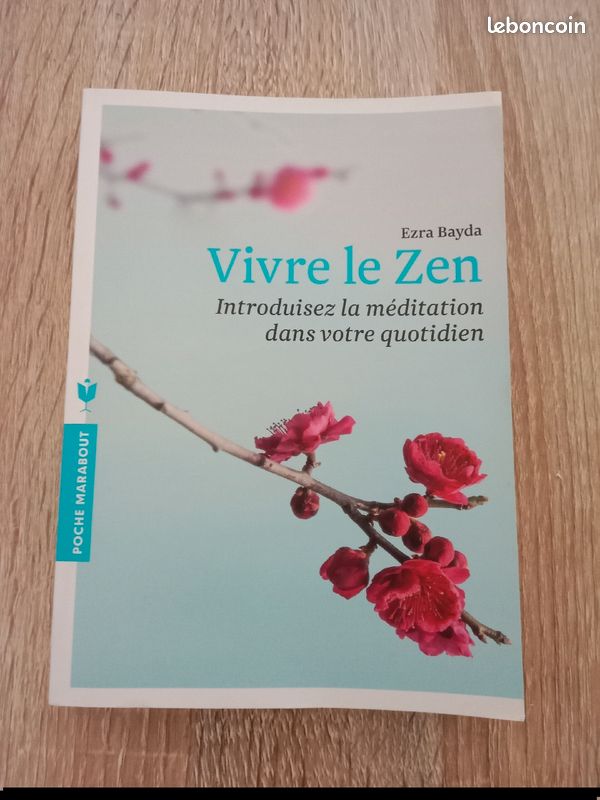 Ezra BAYDA 🪅 Vivre le zen (image 1)