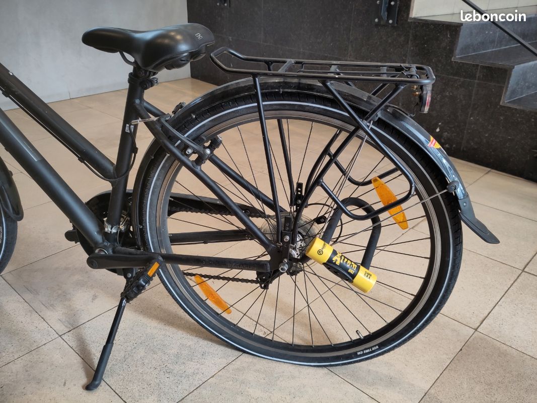 Vélo Pegasus leger (image 3)