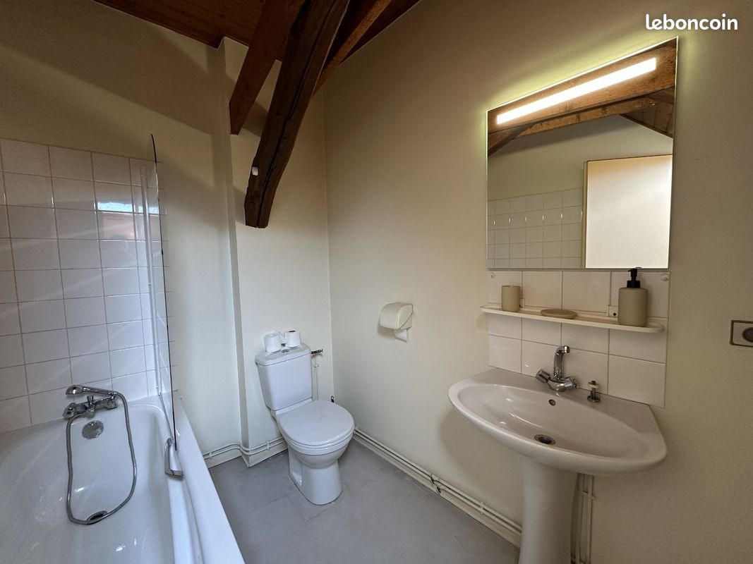 Appartement 2 pièces 22 m² - Saint-Yrieix-la-Perche 87500 (image principale 3)