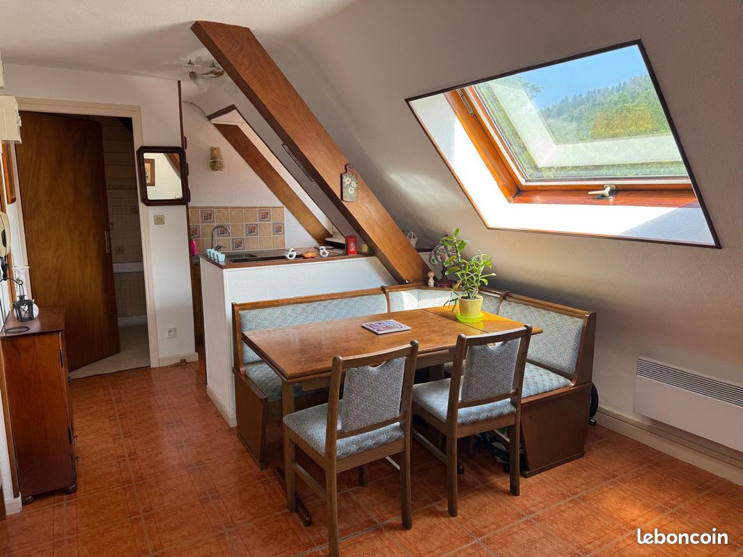 Appartement 1 pièce 19 m² · à Breitenbach-Haut-Rhin · 19 m² · 88 560 €