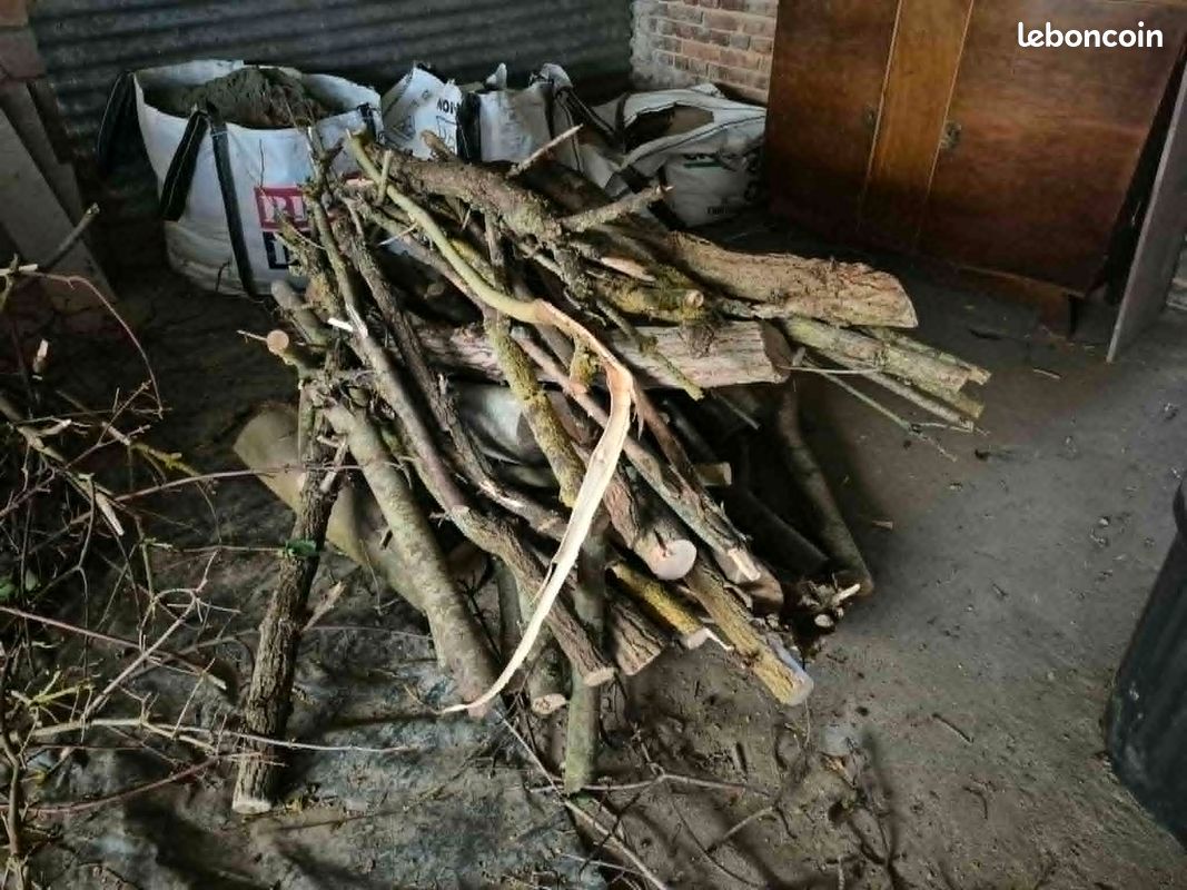 Bois & branchages de fruitiers secs - idéal pour chauffage (petit bois) et aménagement paysager non-alimentaires (haies sèches, zones ornementales, abris pour la biodiversité...) (image 1)
