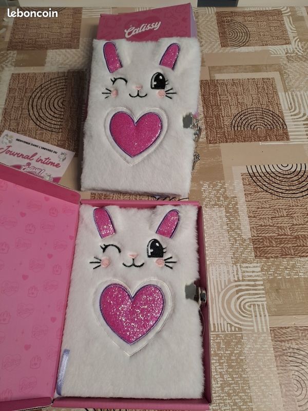 2 carnets secrets motif lapins (image 1)