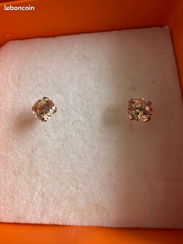 Boucle d’oreille (image 1)