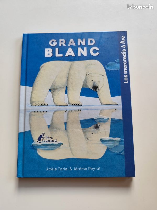 Livres enfants (image 12)