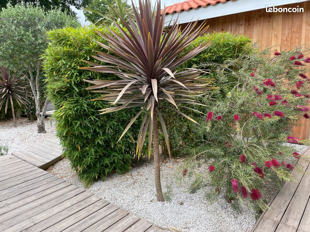 Location charmant T2 la Teste de Buch (image 9)