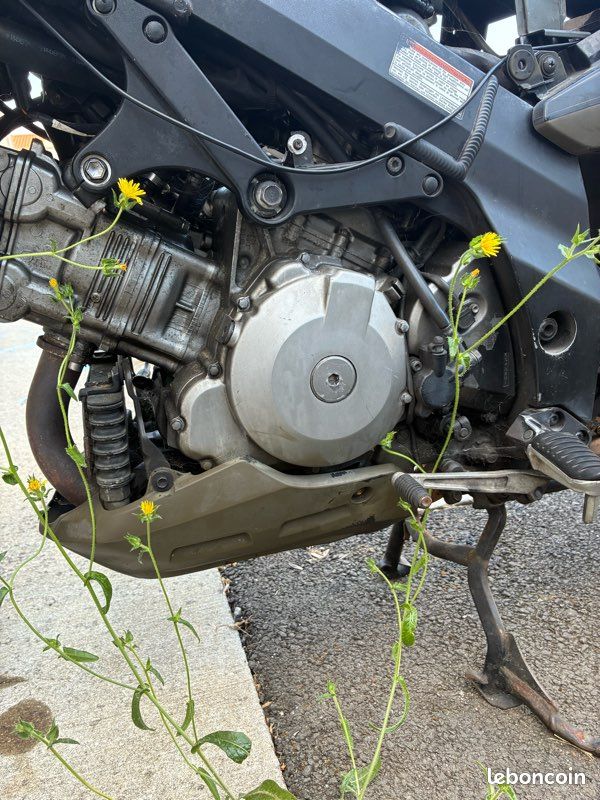 Suzuki dl 1000 vstrom (image 3)