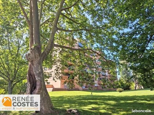 Appartement en Viager 1 pièce 31 m²