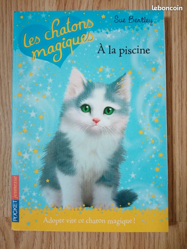Les chatons magiques à la piscine (image 1)