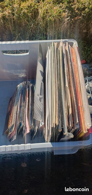 Lot de vinyles (image 2)
