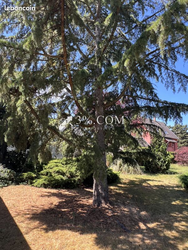 Terrain 500 m² · à Sélestat · 500 m² · 126 000 €