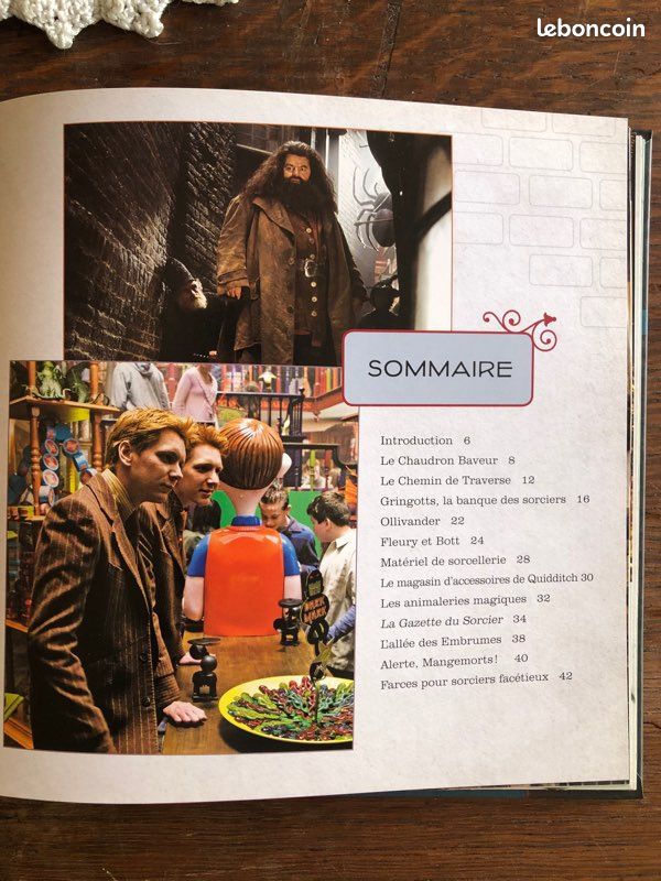 Harry Potter Le chemin de traverse (image 4)