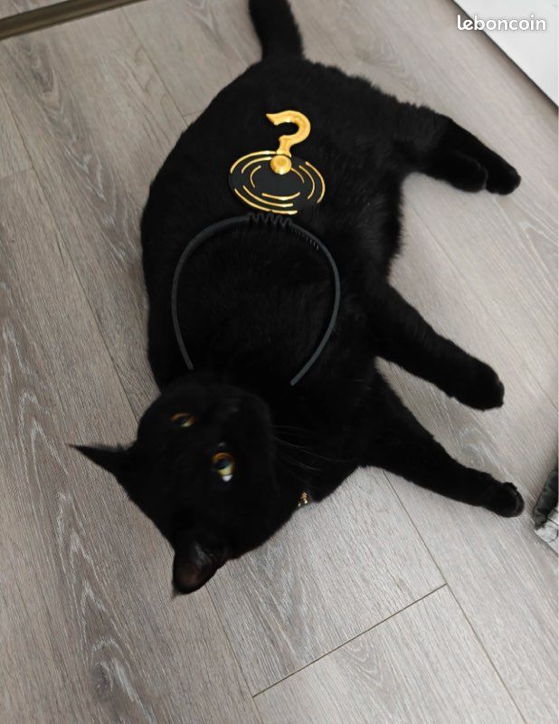 League of legend ping missing, ennemi disparu serre-tête / headband (image 3)